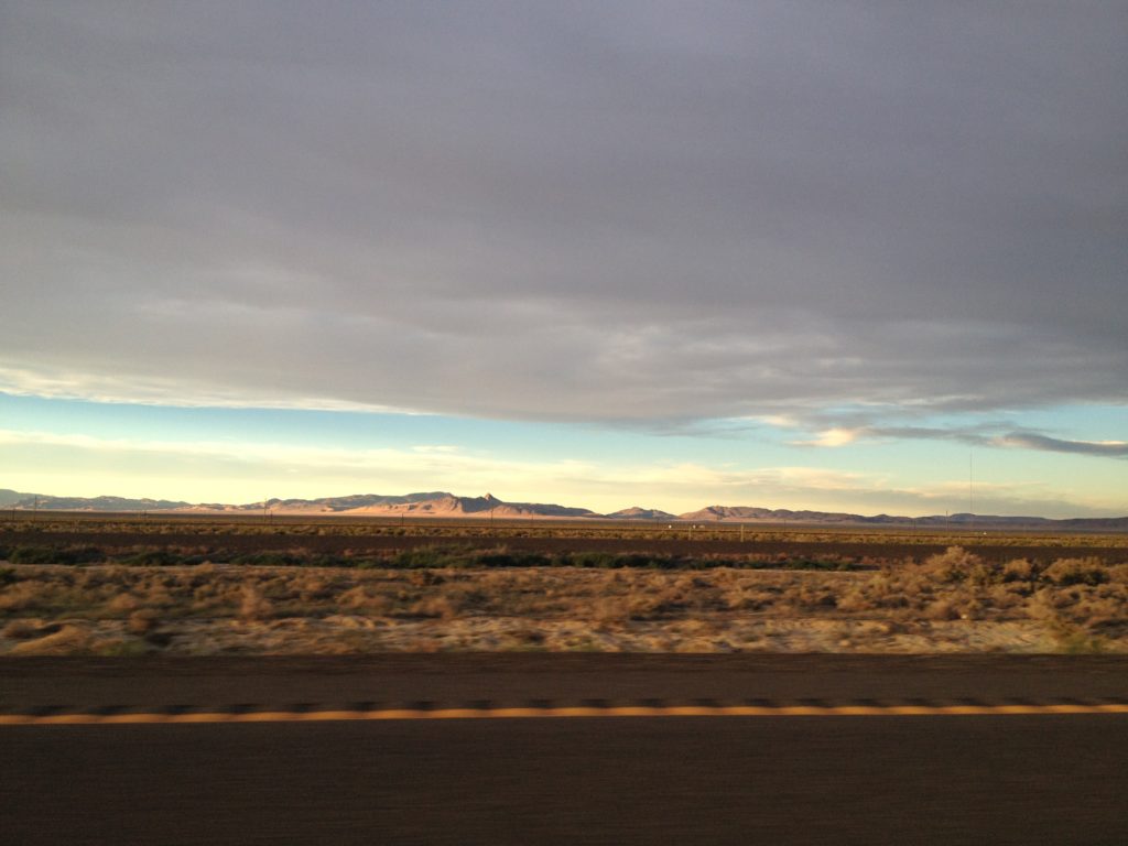 photo 3 (6)